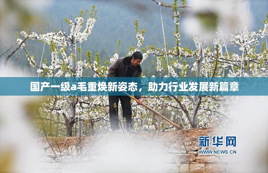 国产一级a毛重焕新姿态，助力行业发展新篇章