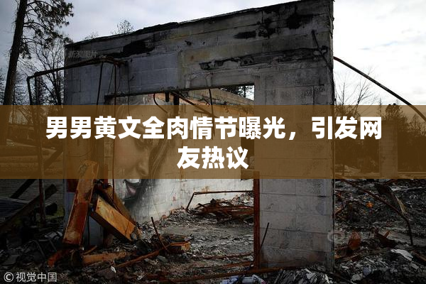 男男黄文全肉情节曝光，引发网友热议