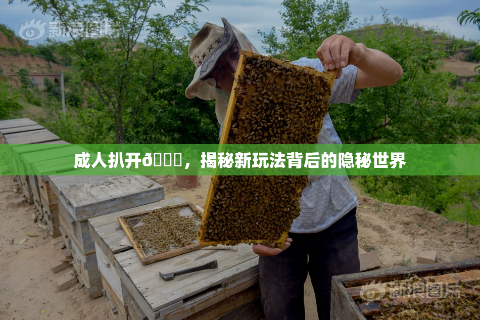 成人扒开🍑，揭秘新玩法背后的隐秘世界