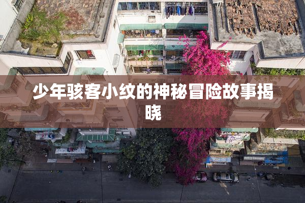 少年骇客小纹的神秘冒险故事揭晓