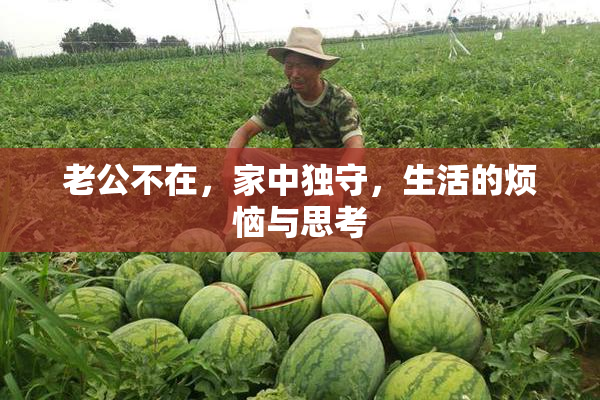 老公不在，家中独守，生活的烦恼与思考