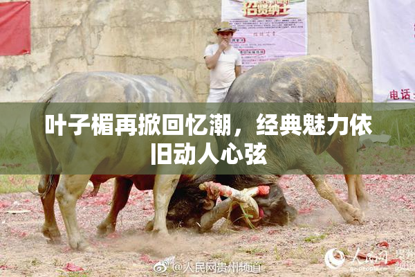 叶子楣再掀回忆潮，经典魅力依旧动人心弦