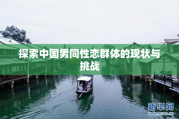 探索中国男同性恋群体的现状与挑战