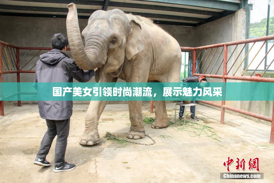 国产美女引领时尚潮流，展示魅力风采