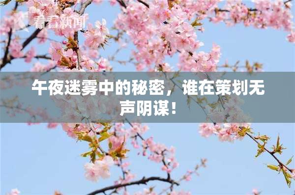 午夜迷雾中的秘密，谁在策划无声阴谋！