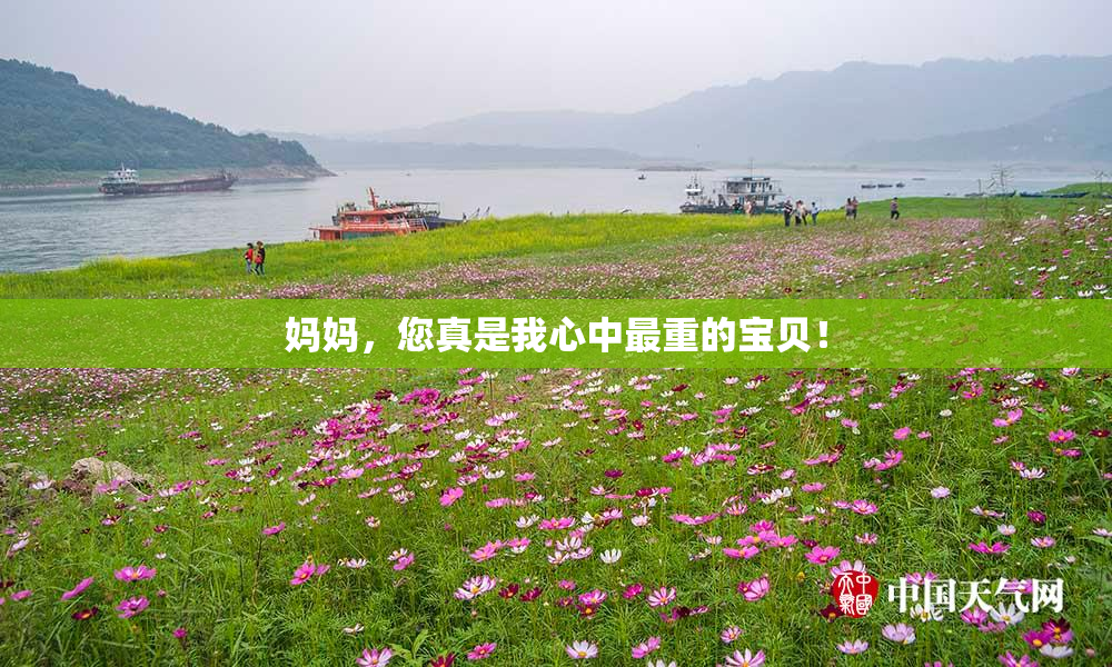 妈妈，您真是我心中最重的宝贝！