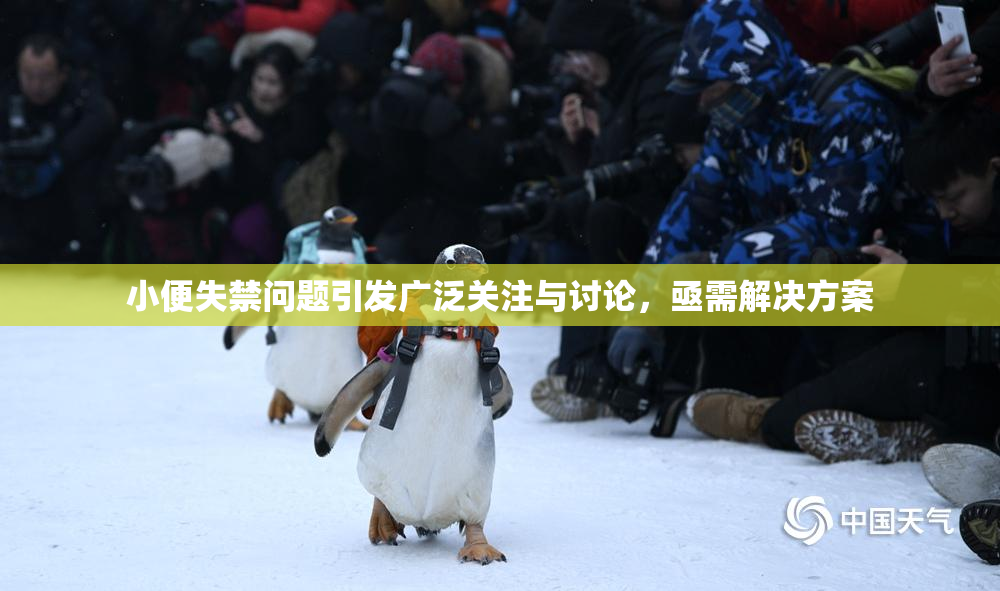小便失禁问题引发广泛关注与讨论，亟需解决方案