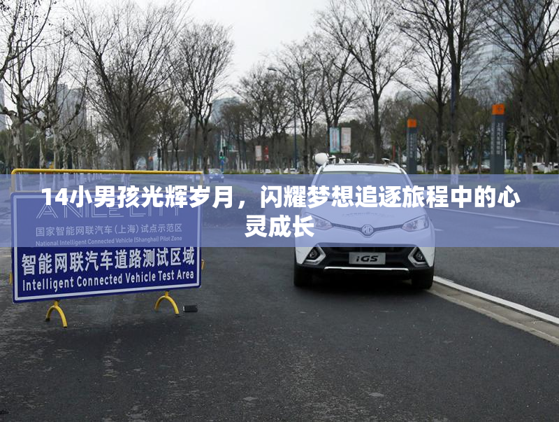 14小男孩光辉岁月，闪耀梦想追逐旅程中的心灵成长