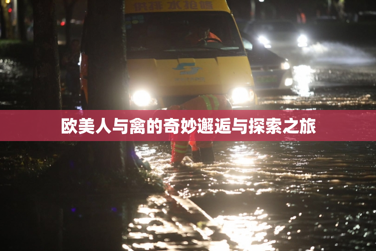 欧美人与禽的奇妙邂逅与探索之旅