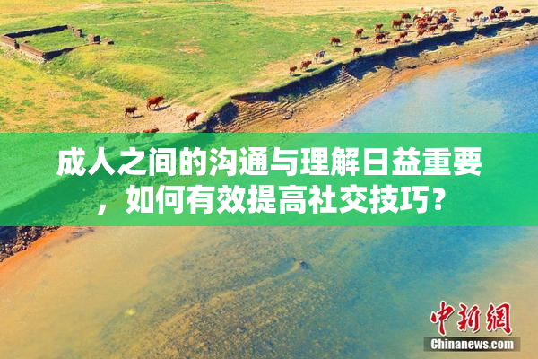 成人之间的沟通与理解日益重要，如何有效提高社交技巧？