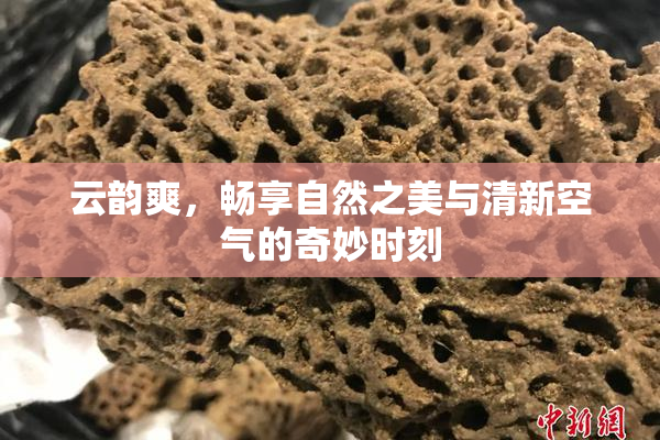 云韵爽，畅享自然之美与清新空气的奇妙时刻