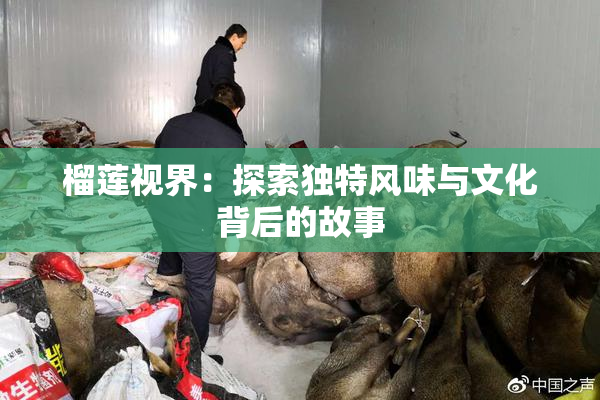榴莲视界：探索独特风味与文化背后的故事