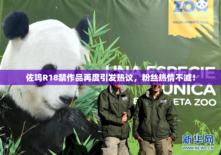 佐鸣R18禁作品再度引发热议，粉丝热情不减！