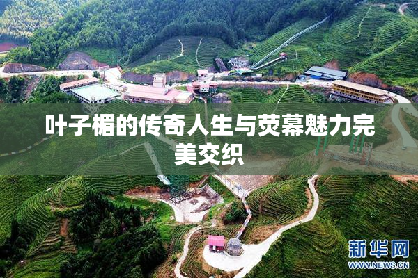 叶子楣的传奇人生与荧幕魅力完美交织