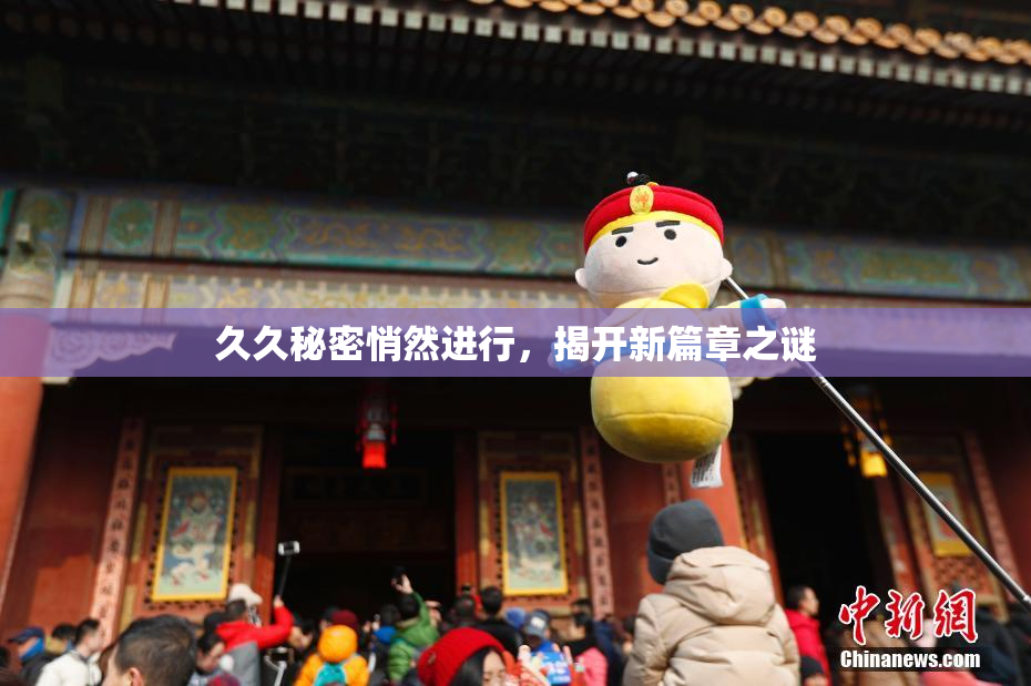久久秘密悄然进行，揭开新篇章之谜