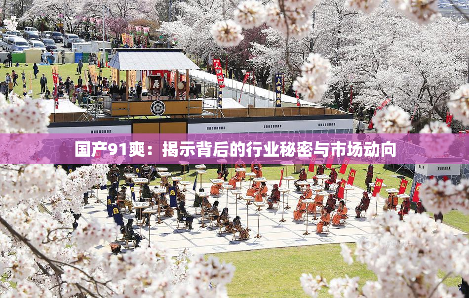 国产91爽：揭示背后的行业秘密与市场动向