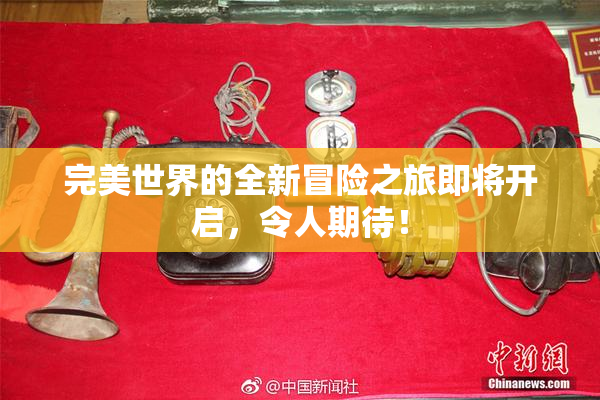 完美世界的全新冒险之旅即将开启，令人期待！