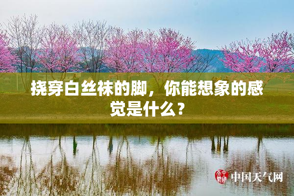 挠穿白丝袜的脚，你能想象的感觉是什么？