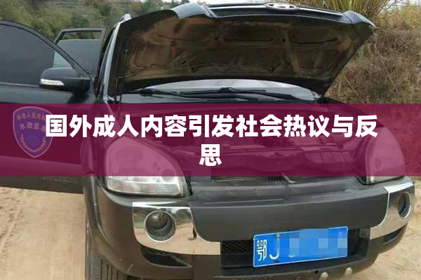 国外成人内容引发社会热议与反思