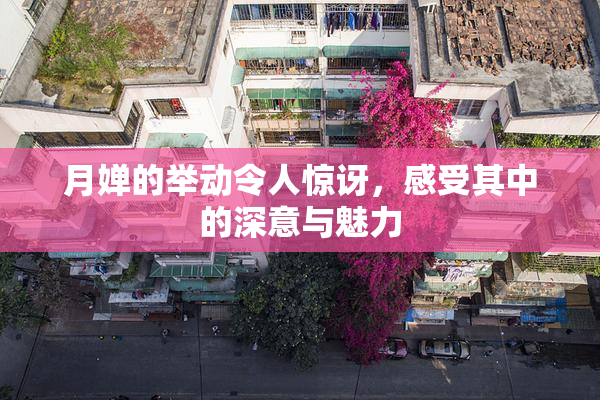 月婵的举动令人惊讶，感受其中的深意与魅力