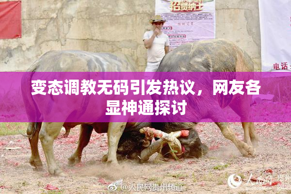 变态调教无码引发热议，网友各显神通探讨