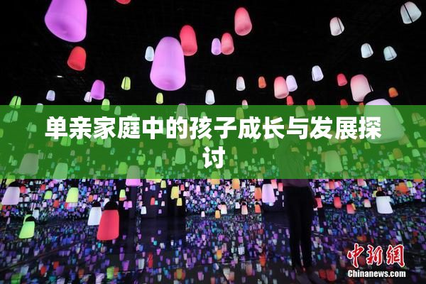 单亲家庭中的孩子成长与发展探讨