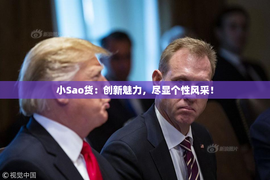 小Sao货：创新魅力，尽显个性风采！