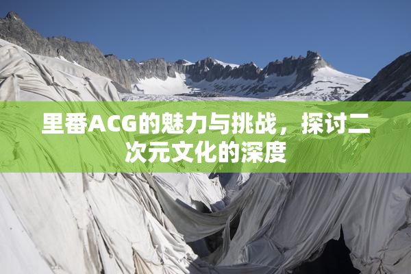 里番ACG的魅力与挑战，探讨二次元文化的深度
