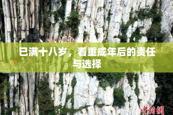 已满十八岁，看重成年后的责任与选择