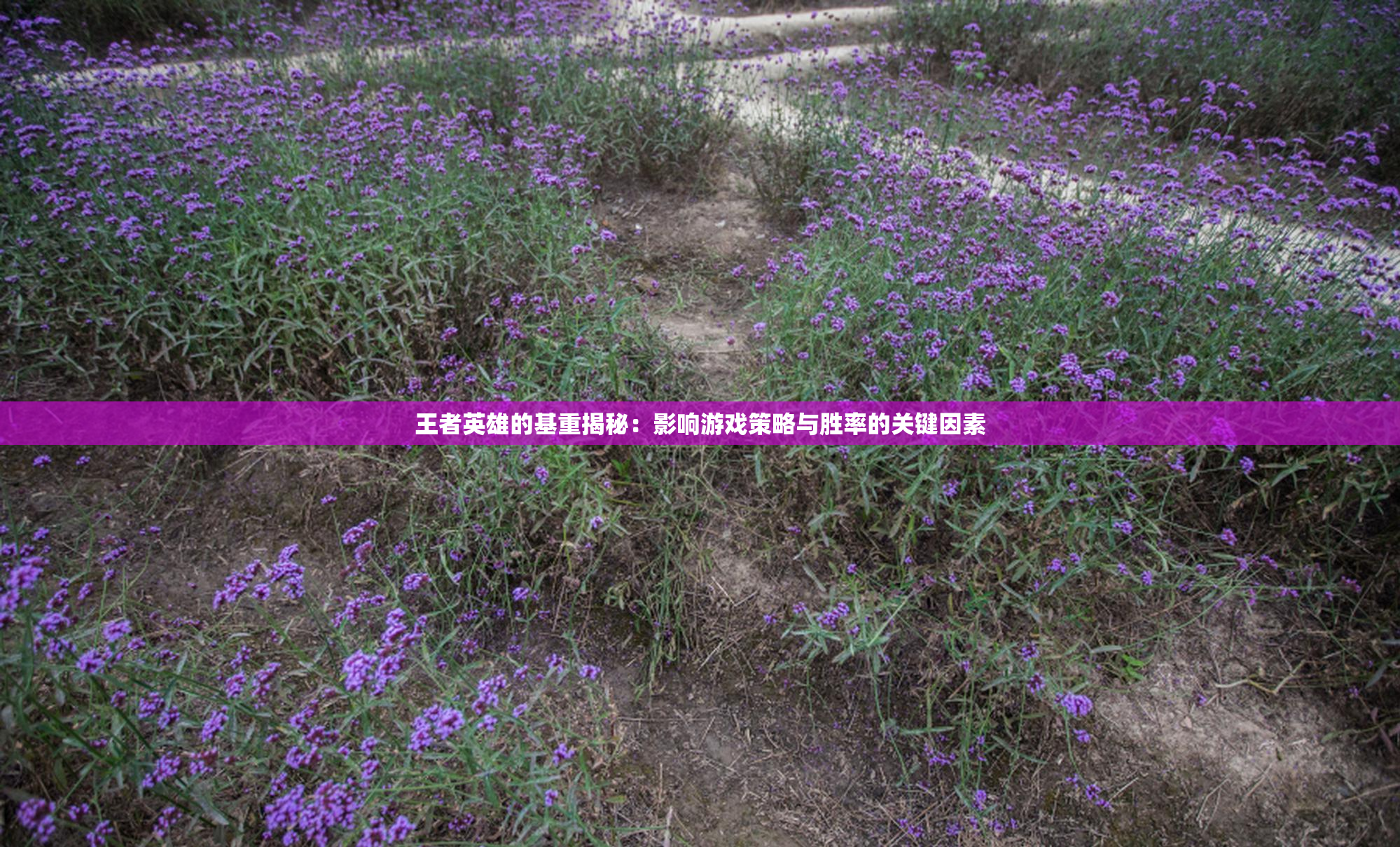 王者英雄的基重揭秘：影响游戏策略与胜率的关键因素