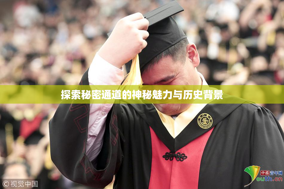 探索秘密通道的神秘魅力与历史背景