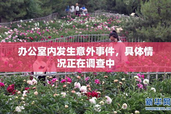 办公室内发生意外事件，具体情况正在调查中