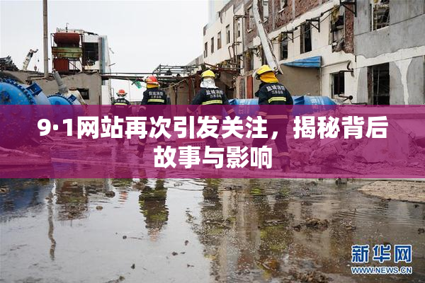 9·1网站再次引发关注，揭秘背后故事与影响