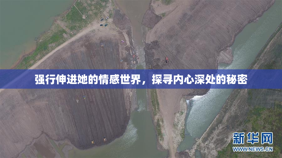 强行伸进她的情感世界，探寻内心深处的秘密