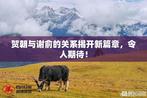 贺朝与谢俞的关系揭开新篇章，令人期待！