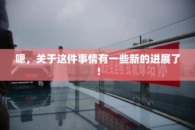 嗯，关于这件事情有一些新的进展了！