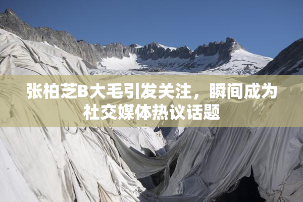 张柏芝B大毛引发关注，瞬间成为社交媒体热议话题
