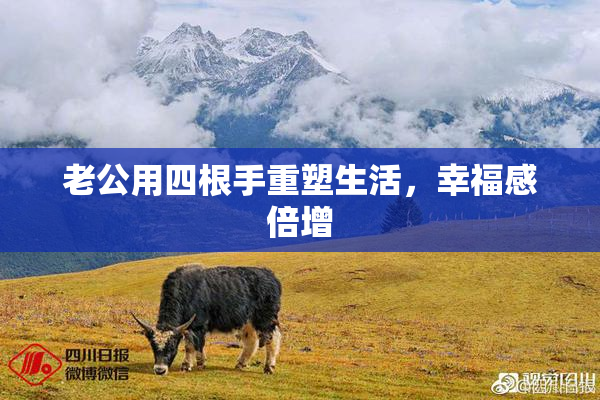 老公用四根手重塑生活，幸福感倍增