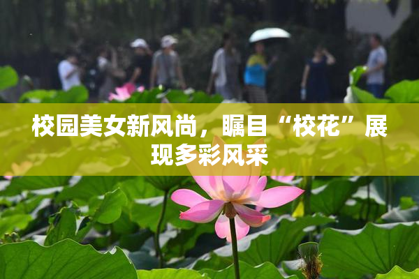 校园美女新风尚，瞩目“校花”展现多彩风采