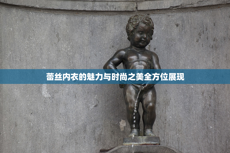 蕾丝内衣的魅力与时尚之美全方位展现