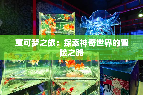 宝可梦之旅：探索神奇世界的冒险之路