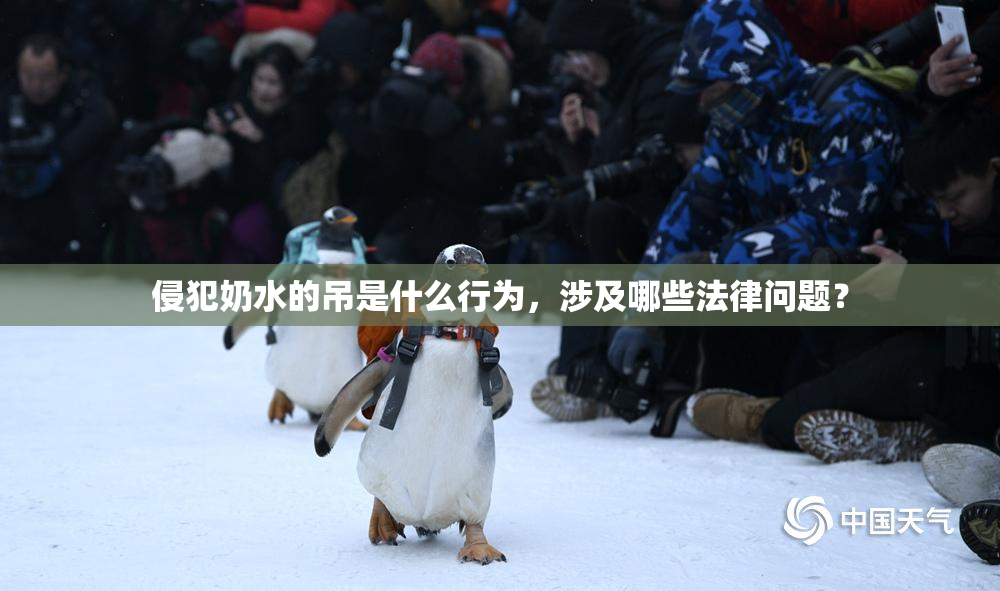 侵犯奶水的吊是什么行为，涉及哪些法律问题？