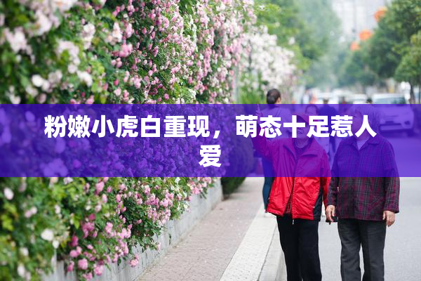 粉嫩小虎白重现，萌态十足惹人爱