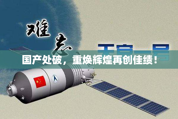 国产处破，重焕辉煌再创佳绩！