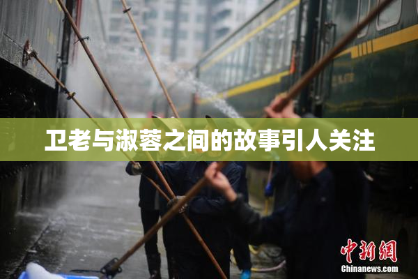卫老与淑蓉之间的故事引人关注