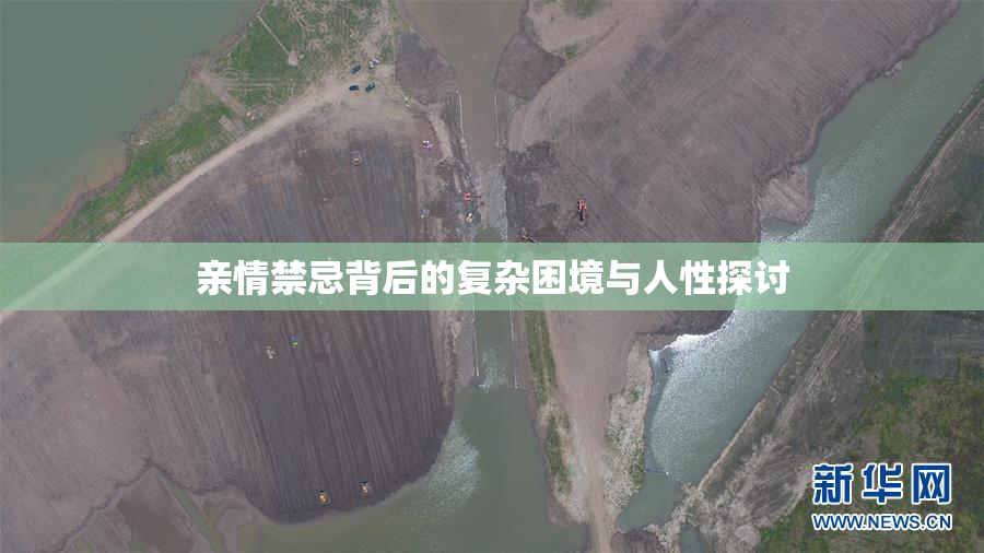 亲情禁忌背后的复杂困境与人性探讨