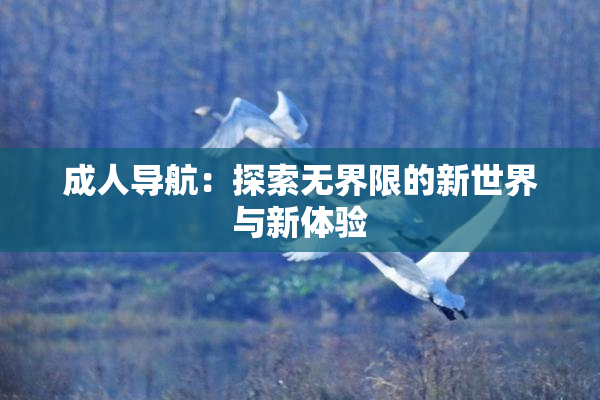 成人导航：探索无界限的新世界与新体验