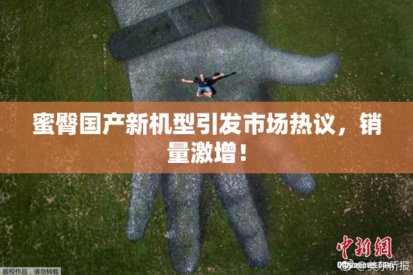 蜜臀国产新机型引发市场热议，销量激增！