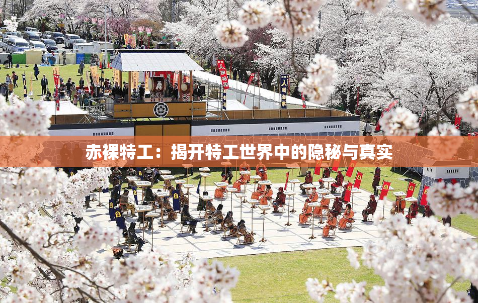 赤裸特工：揭开特工世界中的隐秘与真实