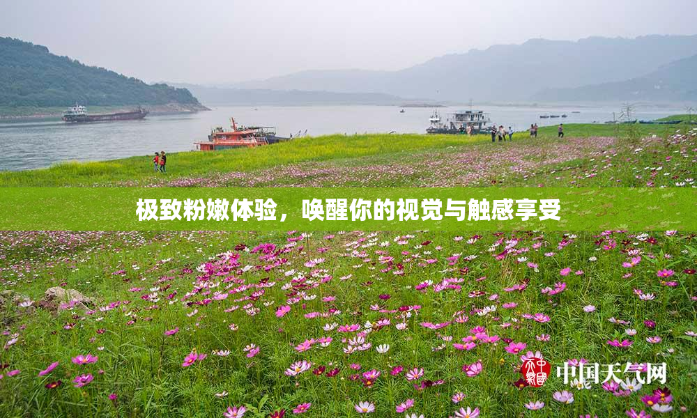 极致粉嫩体验，唤醒你的视觉与触感享受